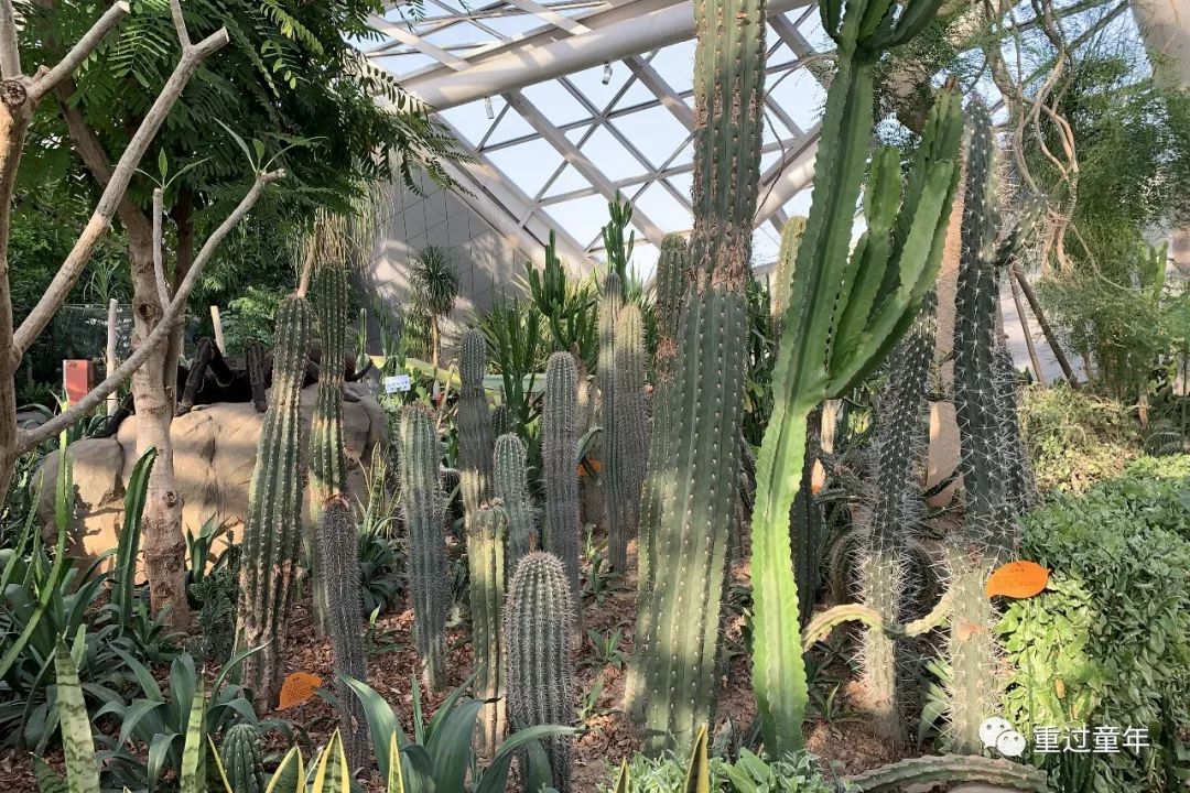 西安一个很有特色的公园,西安十大免费景区公园