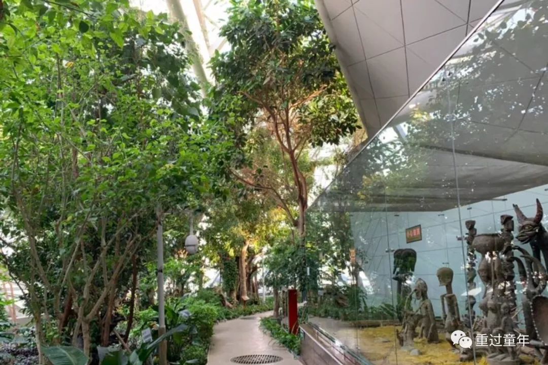 西安一个很有特色的公园,西安十大免费景区公园