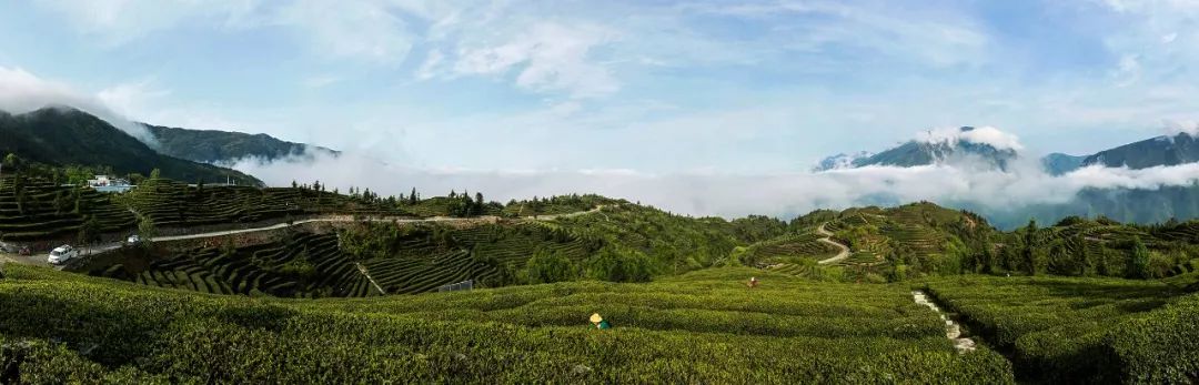 恩施餐饮加盟品牌排行榜,恩施加盟项目