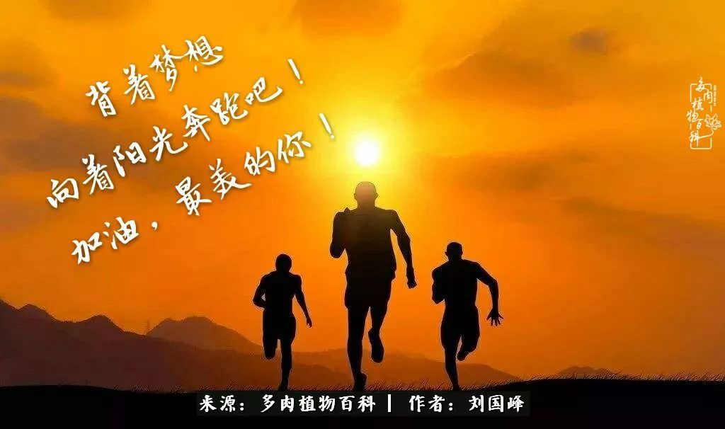 不学无术容易赚大钱,不学无术养多肉摇身一变资产过亿