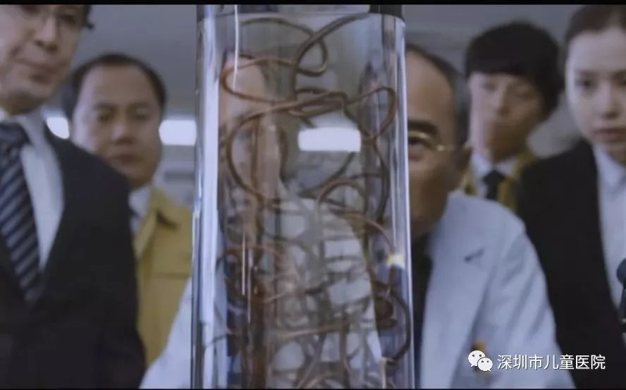 4岁娃肚大如孕妇，体内抽出2斤寄生虫液！铲屎官们注意，这虫能让你“狗带”