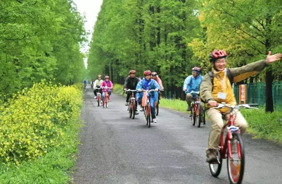 百万市民看奉贤,上海百条线路图