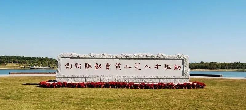 为什么来深圳的年轻人大都去了南山、宝安和龙岗？