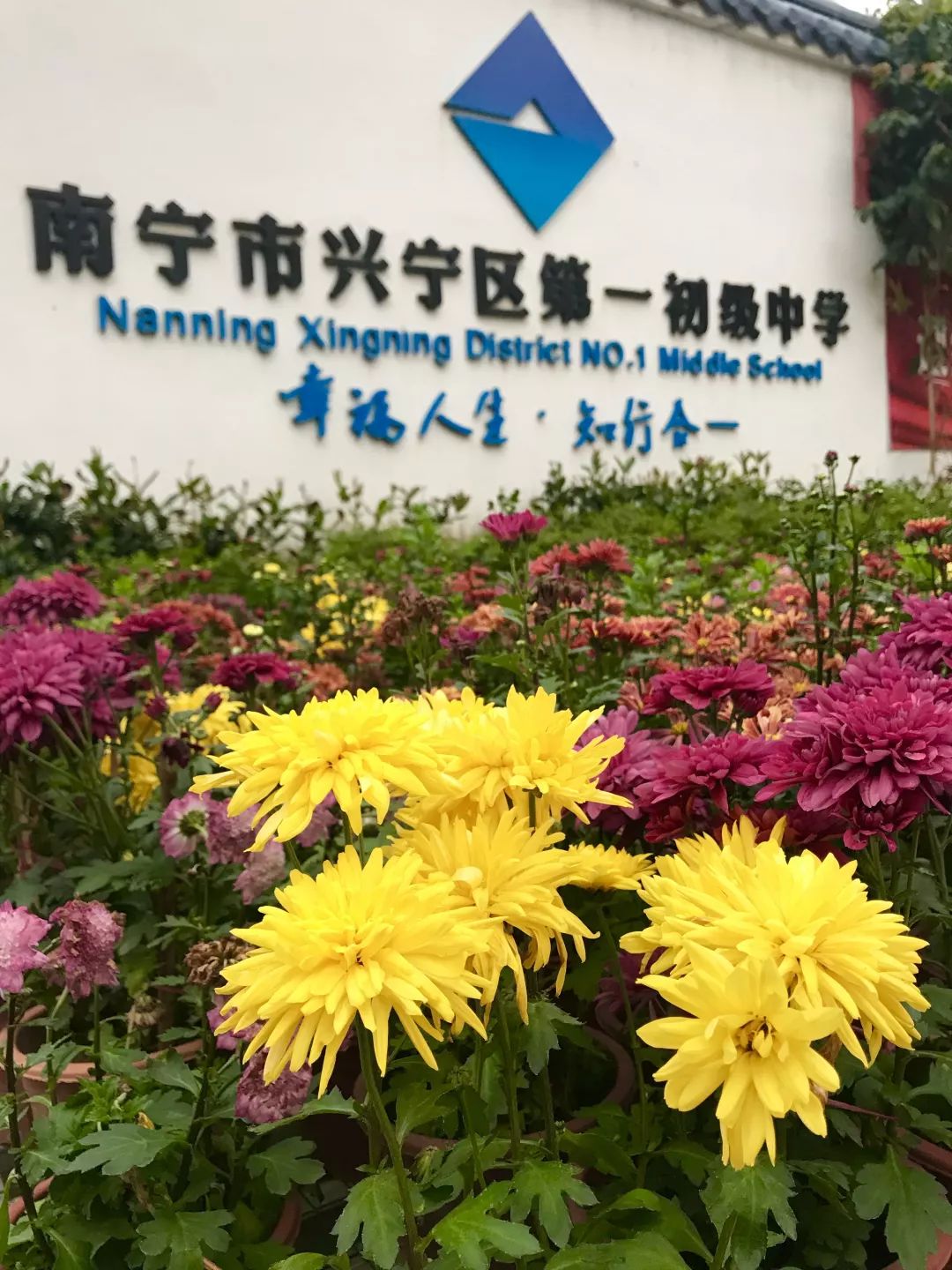 南宁市第一职业学校教师招聘,南宁市兴宁区教师招聘报名流程