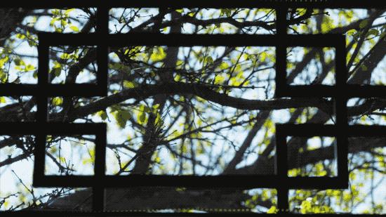 北京姑娘开民宿,北京姑娘开了家胡同民宿