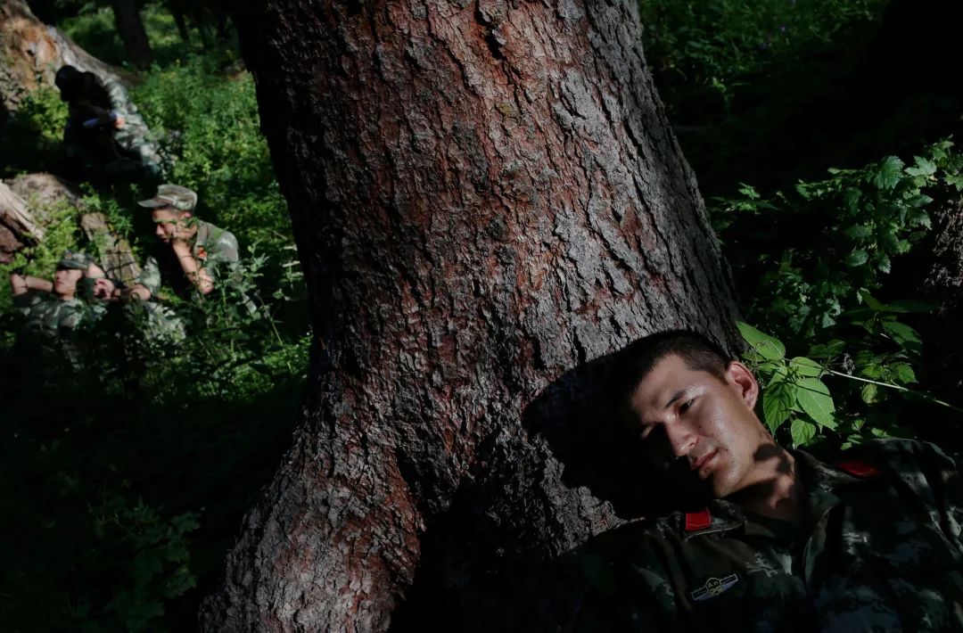 消防员森林火灾事件,四川森林大火致30名扑火人员