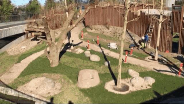 耗资1.5亿的阴阳太极状宫殿，毛二星二的丹麦新家也是太美好