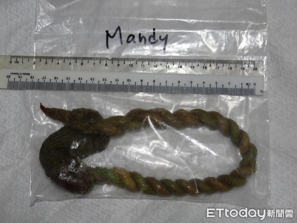 法斗惨叫呕吐大小便失禁,法斗吃了塑料袋吐出来吗