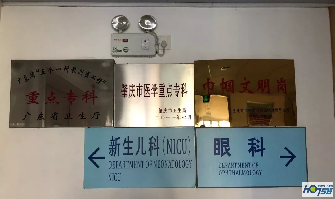 缂栫粐鐢熷懡涔嬬綉,缂栫粐鐢熷懡涔嬬綉浣滃搧