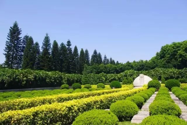 广州哪些地方可以刷羊城通消费,广州街坊