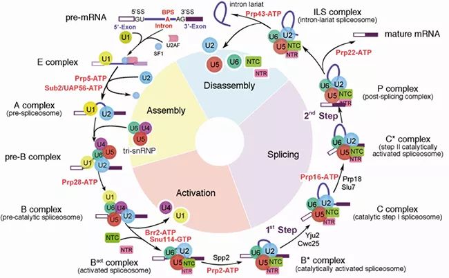 最新科研成果查询,生物材料前沿科研成果