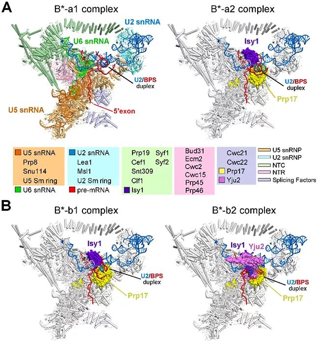 最新发布的科技成果网站,科技研发最新成果素材