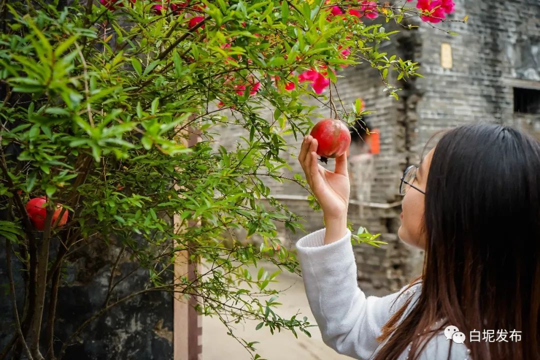 清明节金石滩旅游攻略,五月份适合旅游的小众古村落
