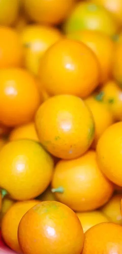 深圳龙岗自助餐性价比最高推荐,龙岗有什么自助餐推荐