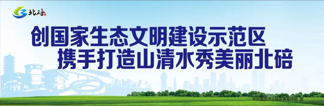 5g手机需要关注什么,买5g手机需要知道的十件事