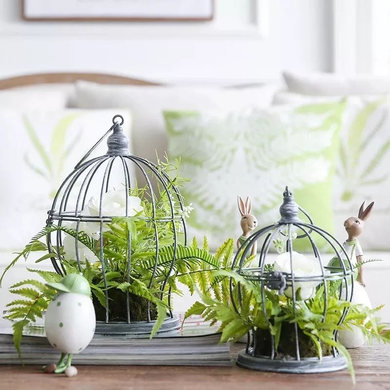 绿植装饰艺术,绿植造型效果图