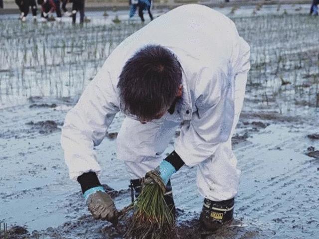 夏季用的凉草席,夏天用的冰丝席子