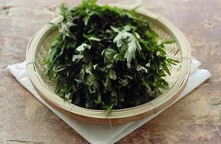 哪种野生野草能治腰痛,农村专治腰痛的草药