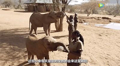 跟刘昊然在非洲过了6天5夜,发现他其实就是个话痨加多动症啊……