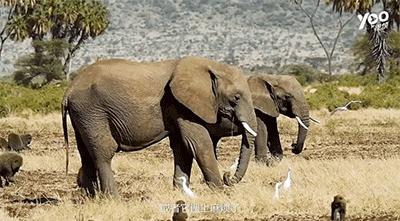 跟刘昊然在非洲过了6天5夜,发现他其实就是个话痨加多动症啊……
