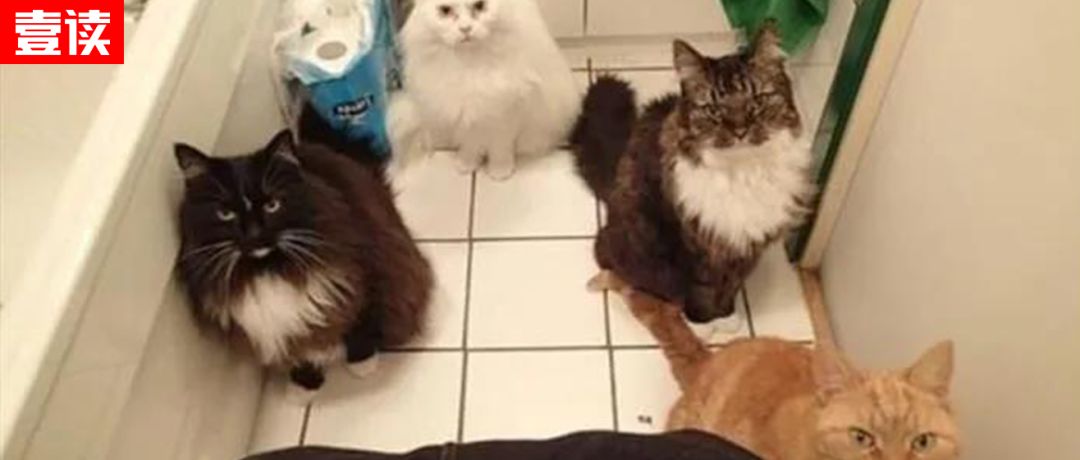 听说用蹲厕的地方都很穷？呸！