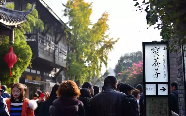 大熊猫铲屎官,都江堰熊猫谷铲屎官报名