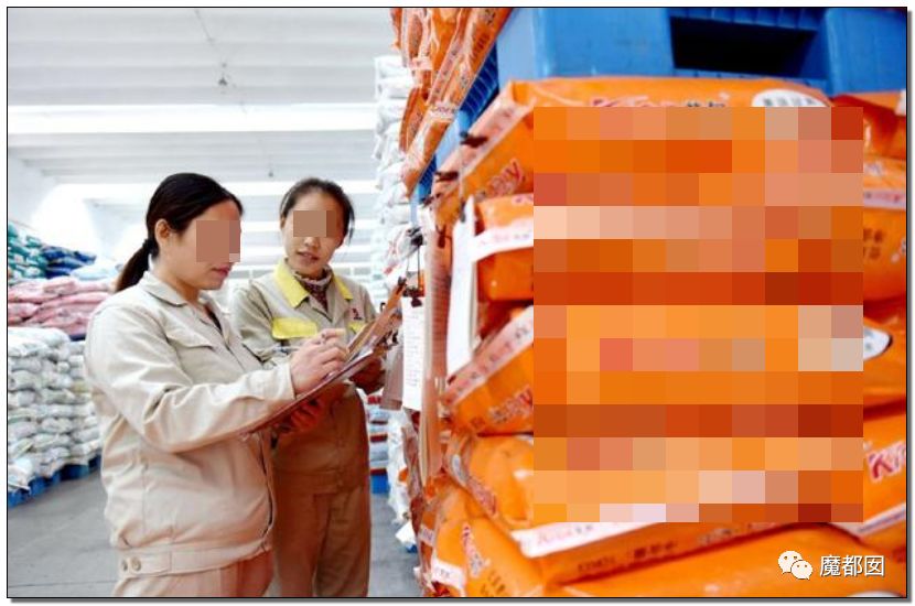 小提琴特色小镇,中国小提琴特色小镇