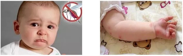 蚊子驱蚊驱虫,杀虫剂对蚊子有效又安全