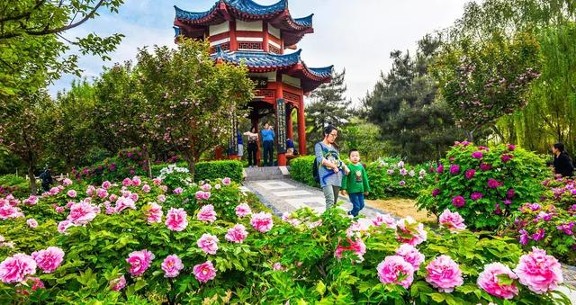 2024年洛阳清明假期游客接待量,洛阳清明假期三天地铁客流量