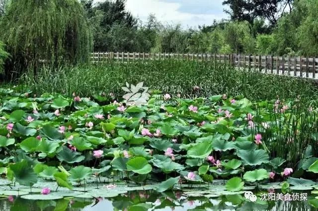 清明小长假出去耍这份攻略请收藏,清明长假旅游攻略北方