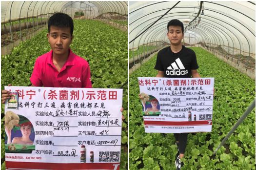 达科宁杀菌剂,达科宁百菌清杀菌剂