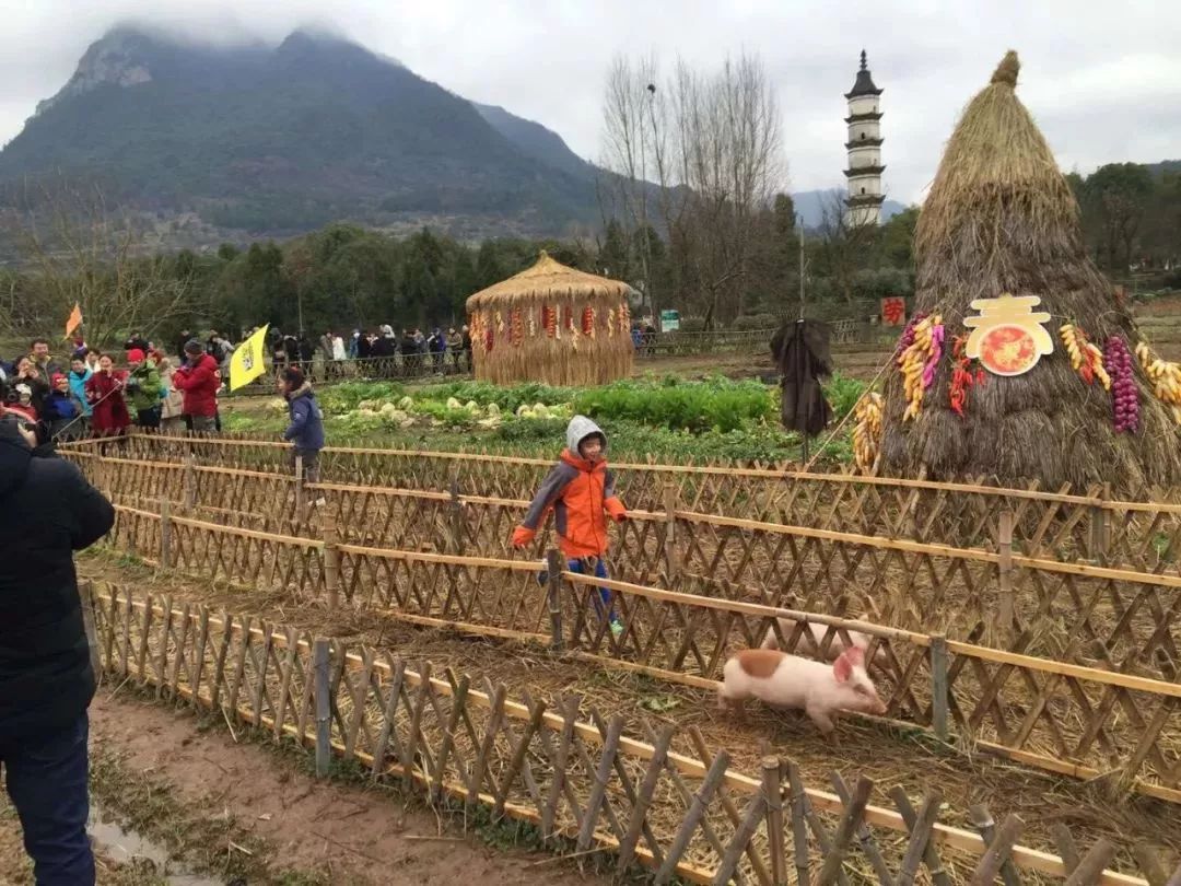 建德市大店口附近最新招工工作,建德暑期工招聘网