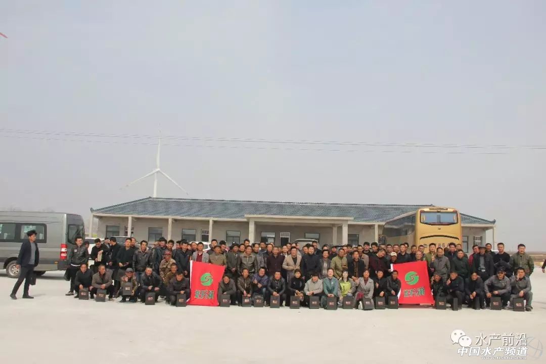 好润蟹苗养殖基地,水阳好润蟹苗