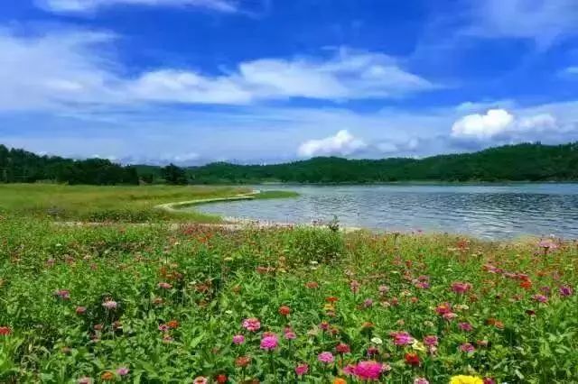 入住东南亚风情酒店！双人自助早餐+逸咖双人套餐！最低只要…