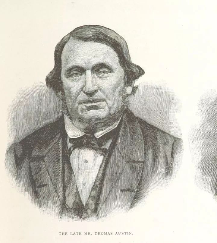 澳洲野兔泛滥成灾到底有多疯狂,澳洲野兔泛滥成灾数量超100亿只