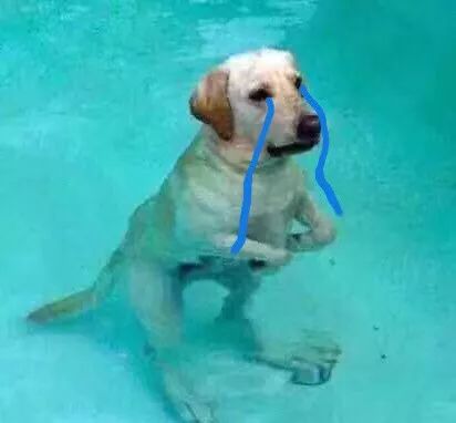 俄罗斯大牌化妆品为什么便宜,俄罗斯化妆品最便宜吗