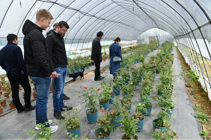 外国人评价蜀马赛道 (2019蜀马赛道展示)