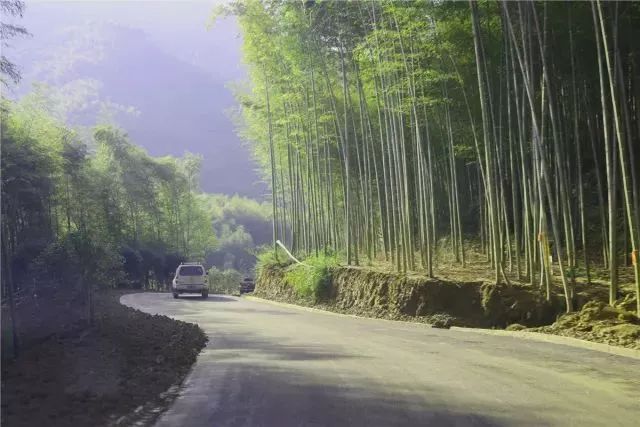 萧山附近网红打卡地,萧山值得打卡的地方