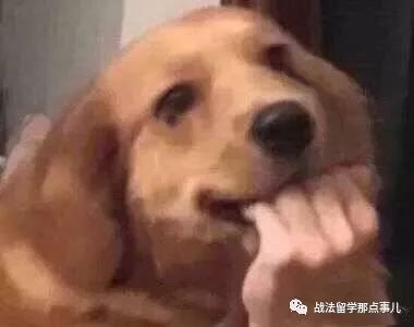 美国留学探校,留学的真相美国探校