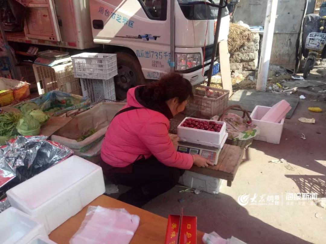 高价大量收购香椿,大量收购香椿树果子