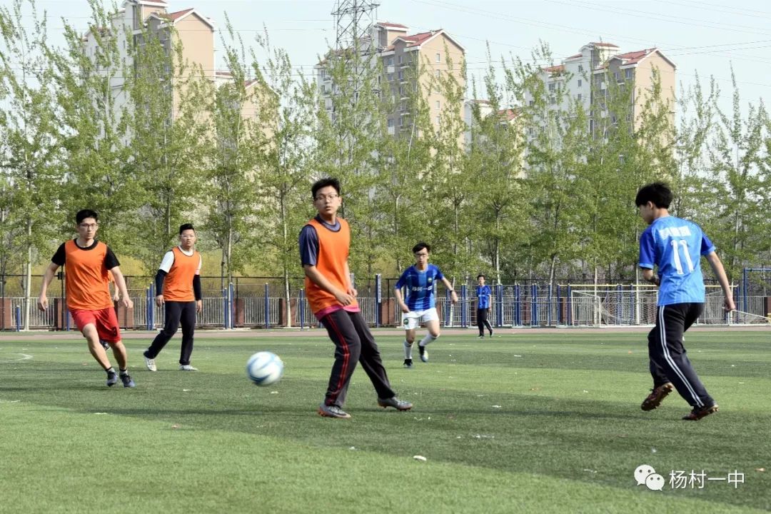 龙南杨村中学2020运动会,新干中学2019运动会