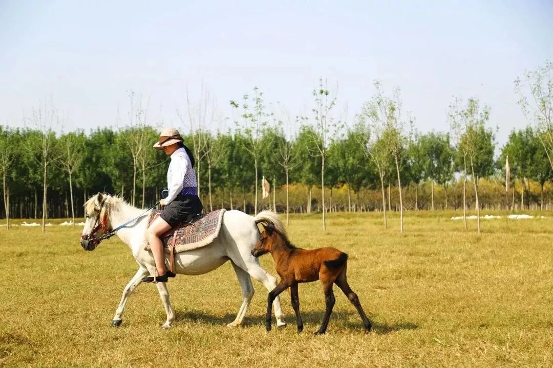 赏花采摘看马战，快来祥和庄园迎娶“春天”！