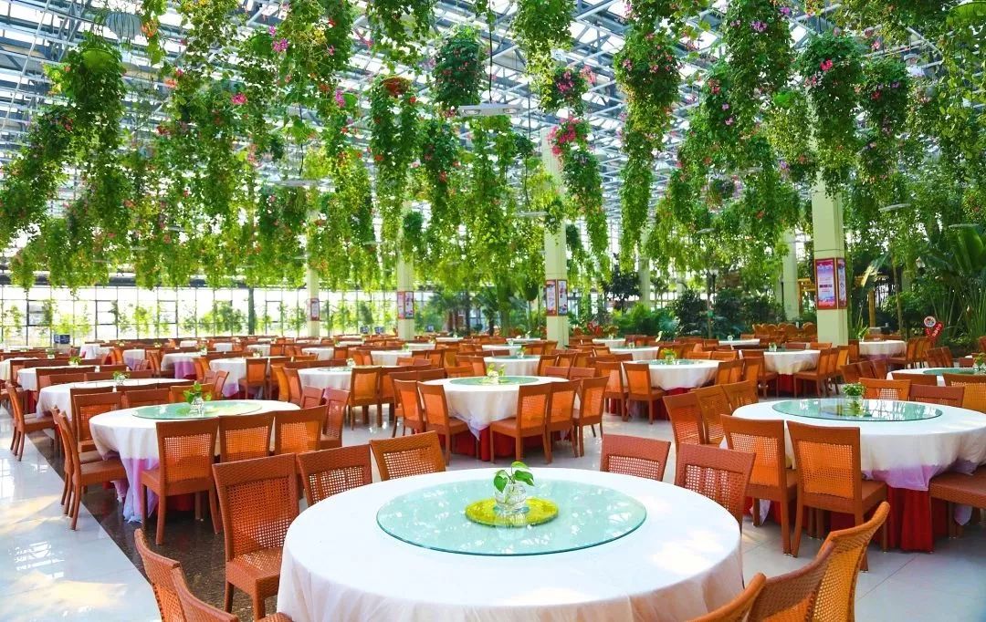 赏花采摘看马战，快来祥和庄园迎娶“春天”！