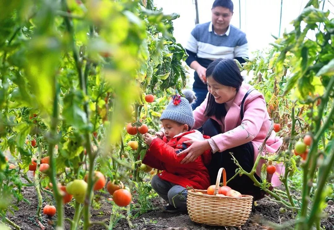 赏花采摘看马战，快来祥和庄园迎娶“春天”！