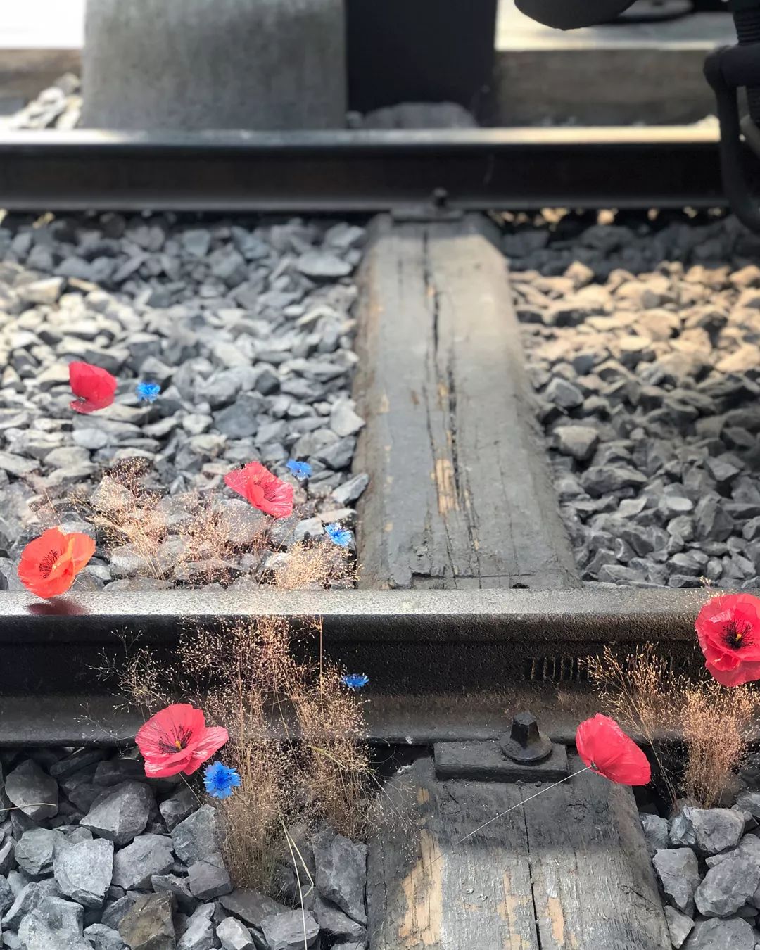 米兰街头暗访竟有井柏然,结果意外:购物车空了