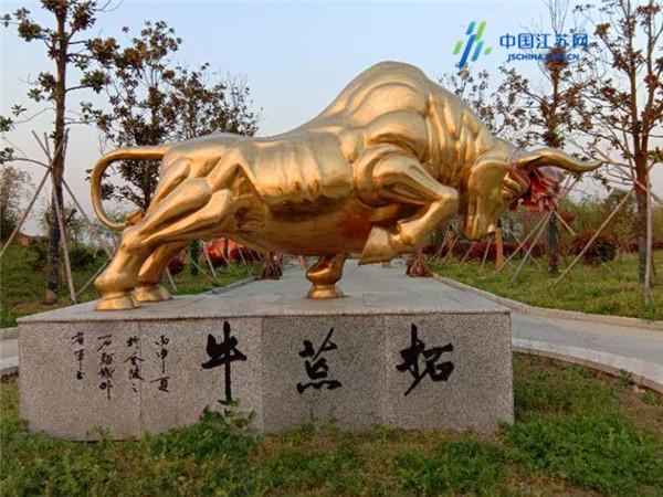 中国水稻大米产地,江南优质大米种植