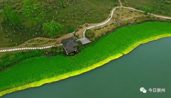 崇州自然赏花美景,崇州青山绿水