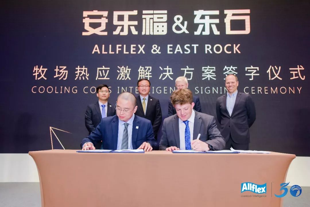 大数据万万没想到,万万没想到深度解析