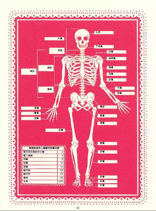 26个字母大小写及字母发音音标表,26个字母中发音含有e的字母有多少