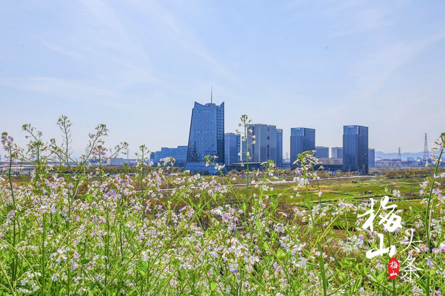 最美梅山,美丽南安梅山